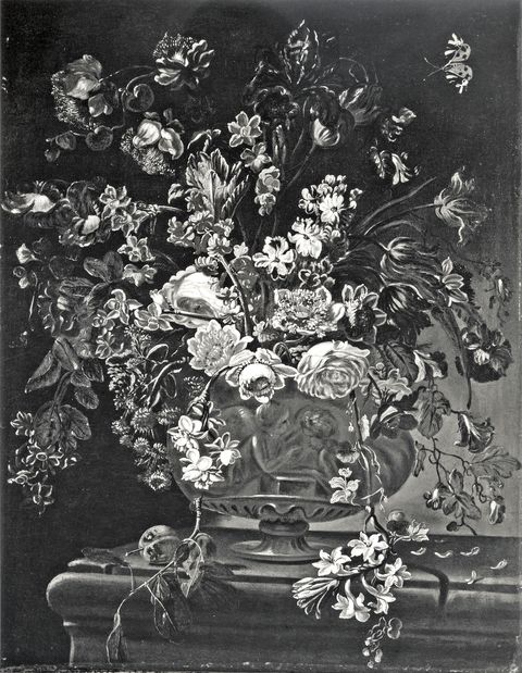 Anonimo — Scacciati Andrea - sec. XVII/ XVIII - Natura morta con vaso di fiori e albicocche — insieme